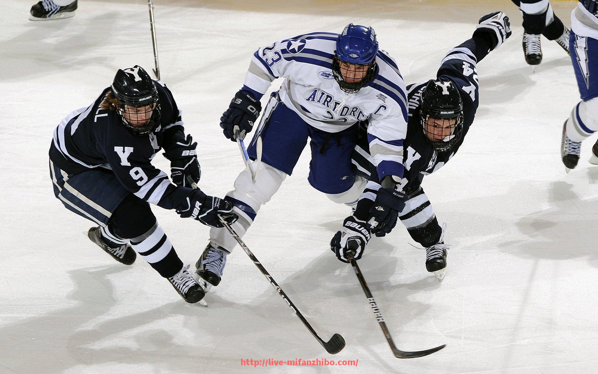 秘饭直播-健身器材公司招聘：健身器材行业的招聘信息汇总
